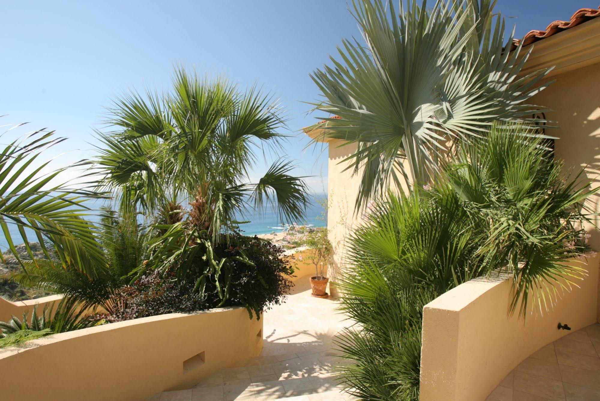 Casa Brisa Del Mar Hotel Cabo San Lucas